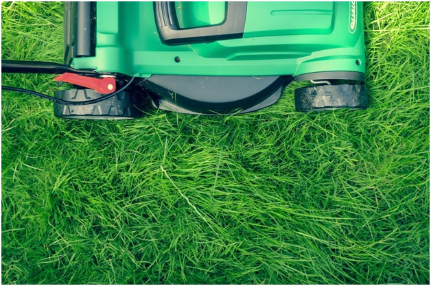 How to Revive Lawn After You Bought a New House