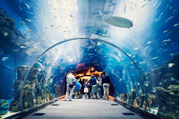 10 Best Tourist Attractions in Dubai