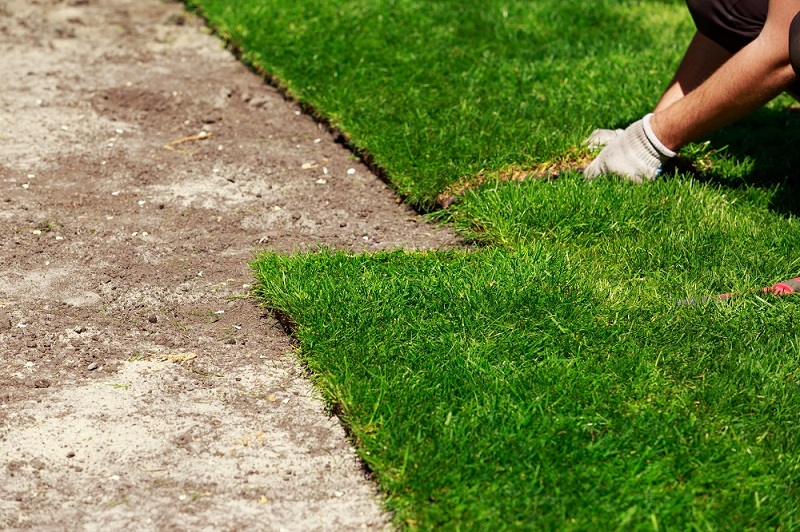 Synthetic Grass: An Easy Way to Spruce Up Your Living Space