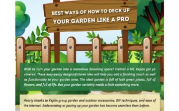 best ways of how to deck up your garden like a pro