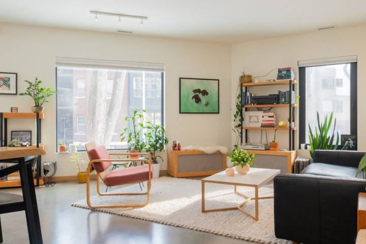 house decorated with chairs and carpet