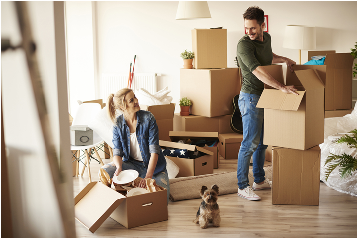 couple and dog packing for a move