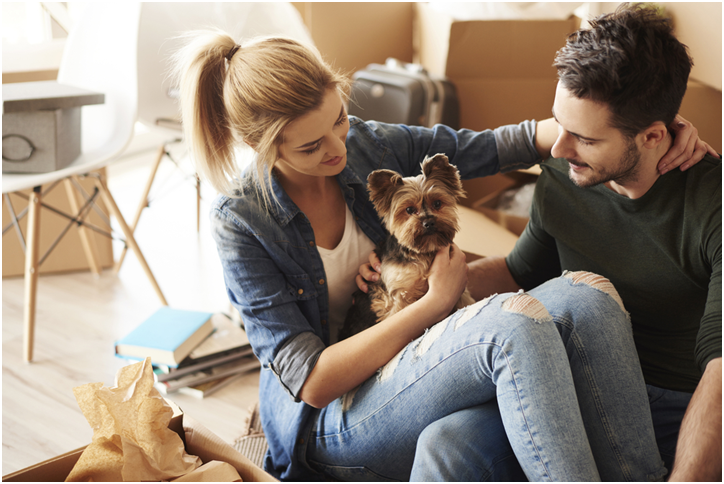 couple with dog preparing for a move