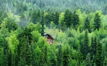 Alaska landscape with small house in the forest