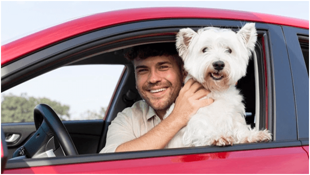 5 Fun Destinations to Visit with Your Pet in 2021