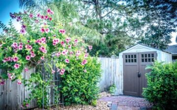 garden shed decorated with plants