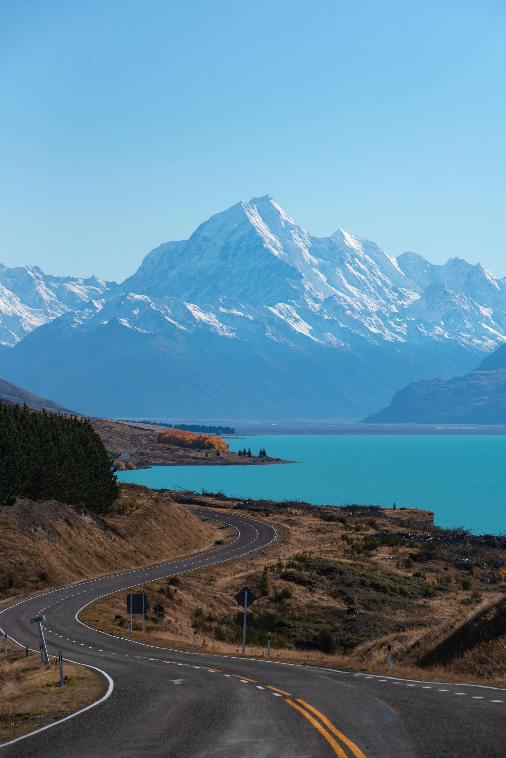 Moving from USA to New Zealand: Your Go-To Relocation Guide
