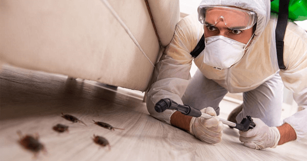 Pest Control Tips for Moving Into a New Home