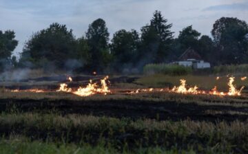 field set on fire by forest fire
