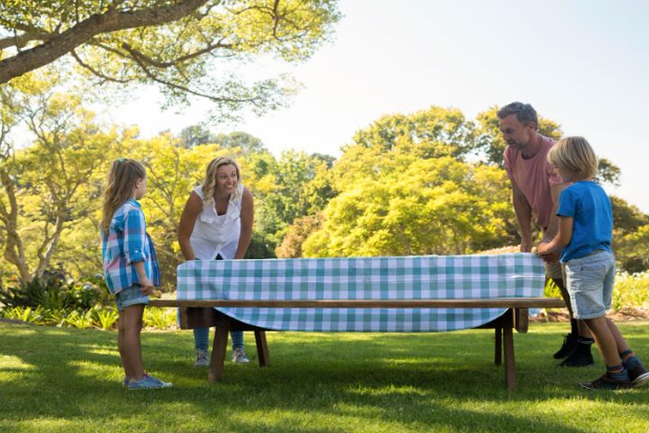 family on a picnic