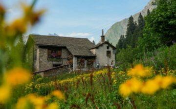 house in the mountains surrounded by flowers