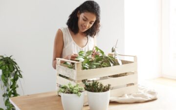 woman packing plants for moving