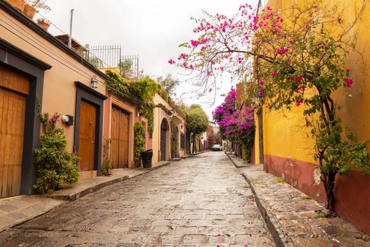 Neat and beautiful neighborhood