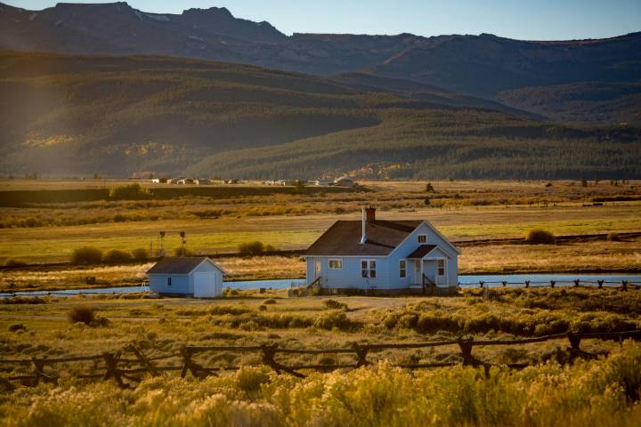 teal and black wooden house beside teal and black house